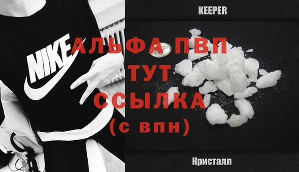 сатива Балахна