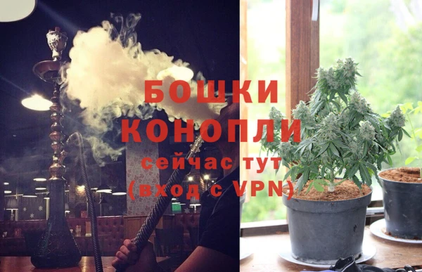 шишки Армянск