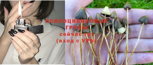 марихуана Баксан