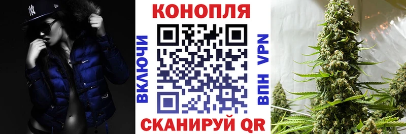 как найти закладки  Черняховск  Шишки марихуана ГИДРОПОН 